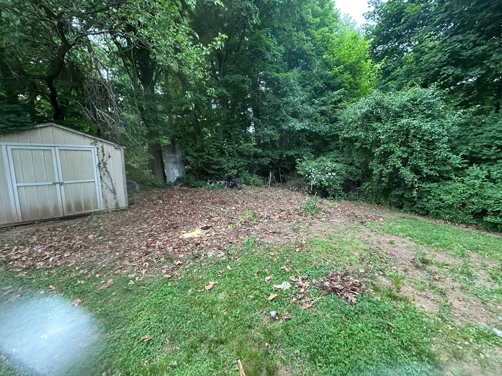 Shed teardown Connecticut yard cleared after removal
